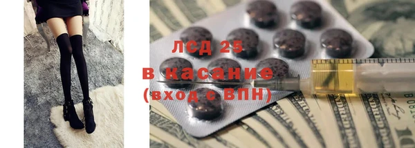 хмурый Бородино