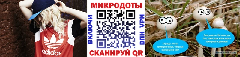 Псилоцибиновые грибы Magic Shrooms  ОМГ ОМГ как зайти  Кашин 