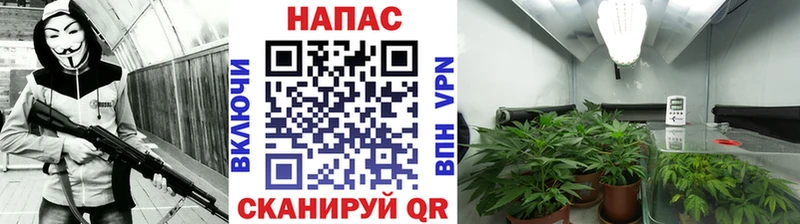 Каннабис гибрид  магазин  наркотиков  Кашин 